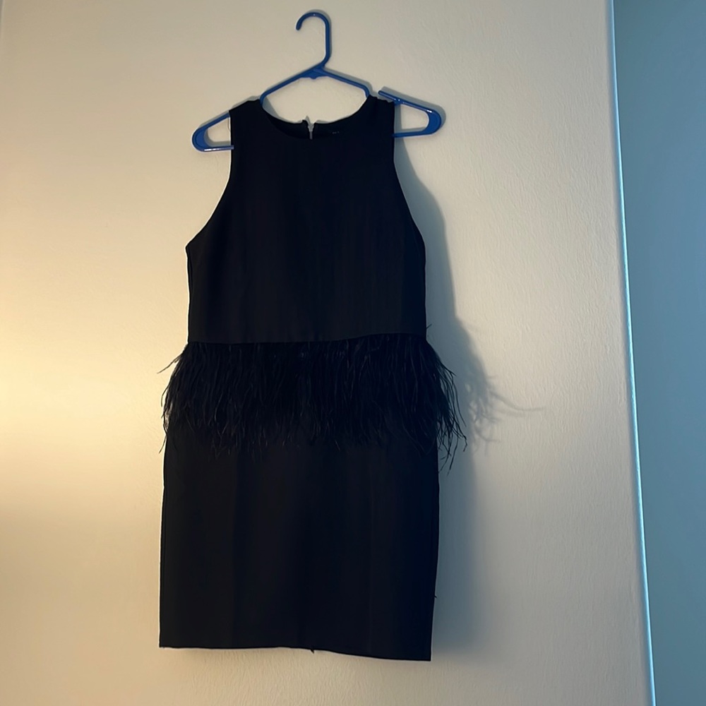Endless Rose Black Feather Cocktail Dress